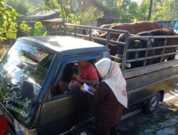 Dinas Intensifkan Pemantauan Hewan Qurban
