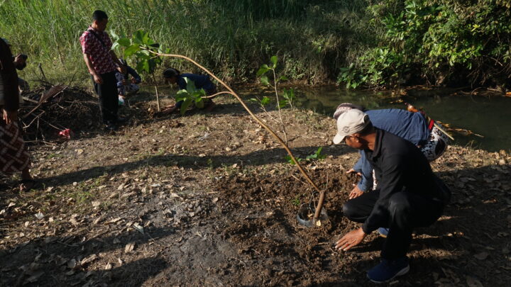 Penanaman Pohon