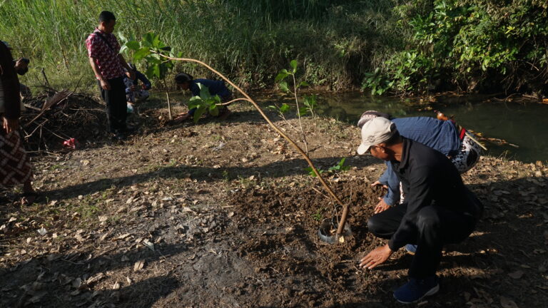 Penanaman Pohon