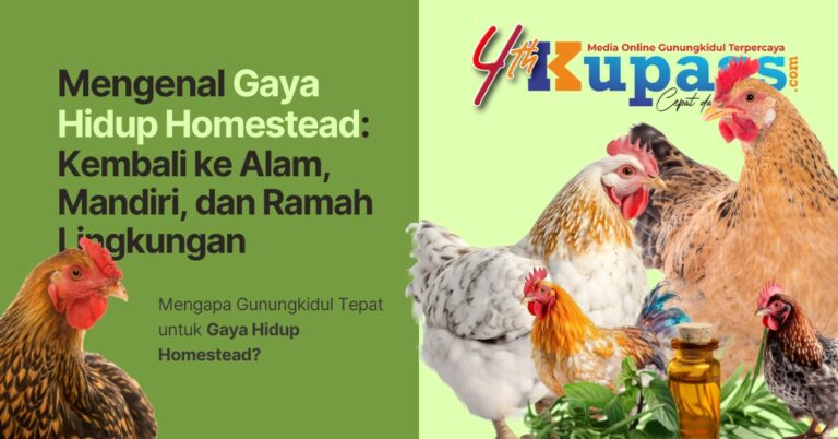 Gaya Hidup Homestead