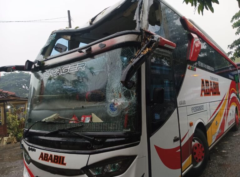 Bus Pariwisata Ringsek Tertimpa Pohon