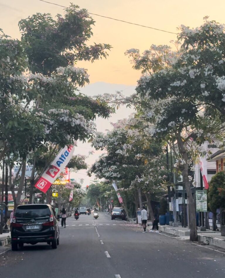 Ruas Jalan Veteran