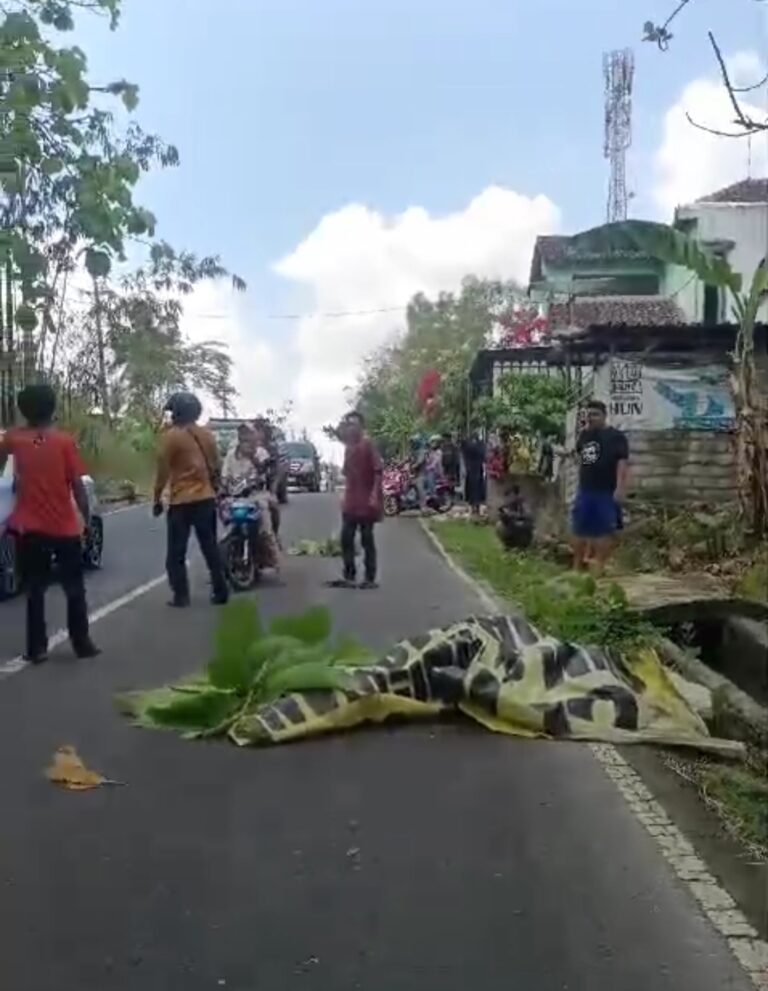 Korban Terlindas Bus