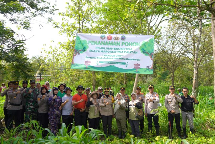 Penanaman Pohon