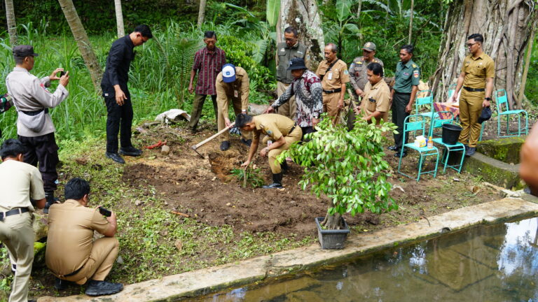 Penanaman Pohon