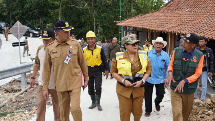 Bupati Gunungkidul Endah Meninjau Longsor