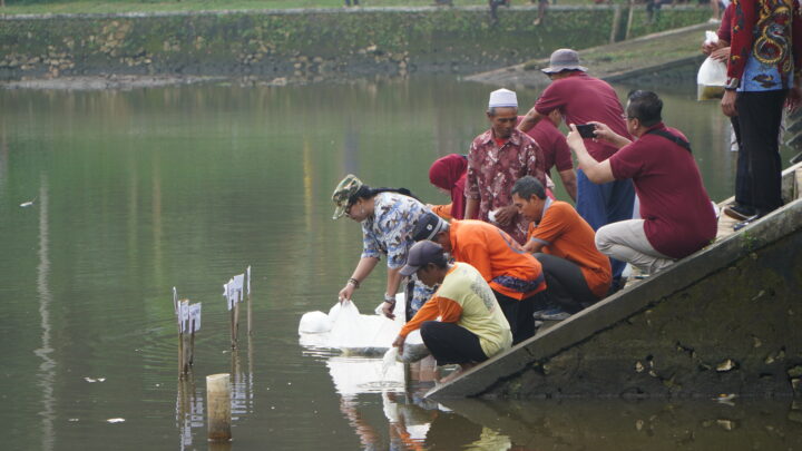 Tebar Benih Ikan