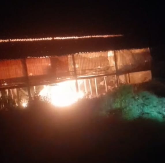 Kandang Ayam Terbakar