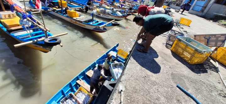 Pengalaman Wisata Belanja Ikan yang Unik