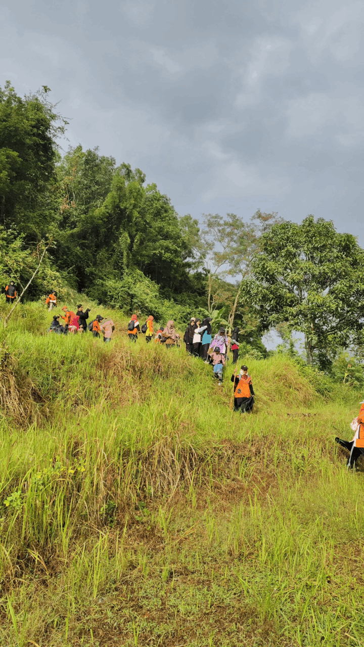 Trekking Ramah Pemula dengan Pemandangan Memukau