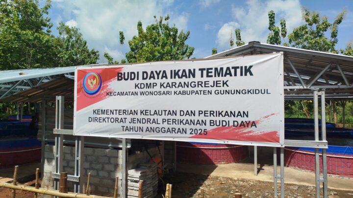 Bupati Tebar 60.000 Bibit Ikan Lele Di Karangrejek