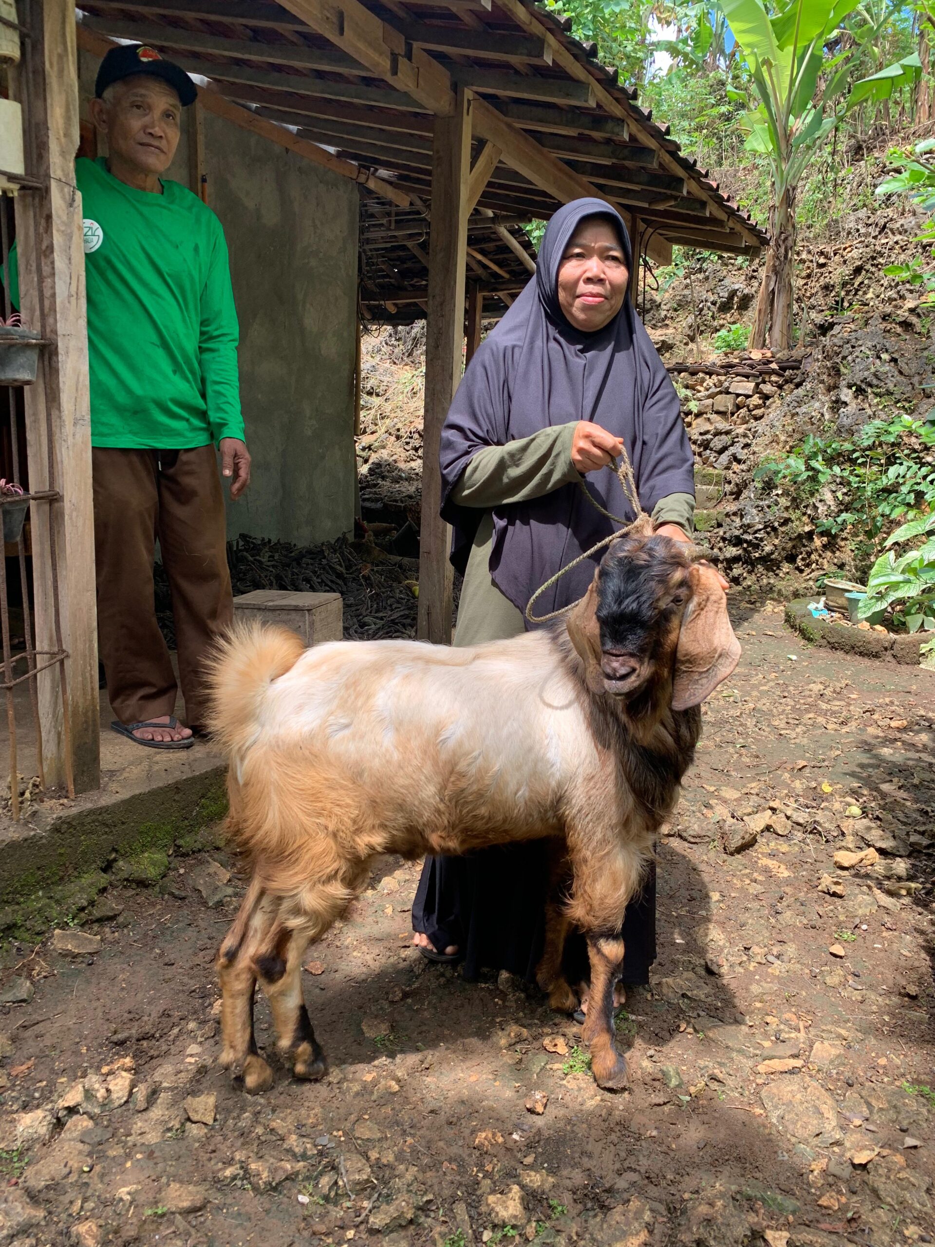 LAZ Amal Syuhada Sukses Berdayakan Ekonomi Dan Spiritual Warga Gunungkidul LAZ Amal Syuhada Sukses Berdayakan Ekonomi Dan Spiritual Warga Gunungkidul