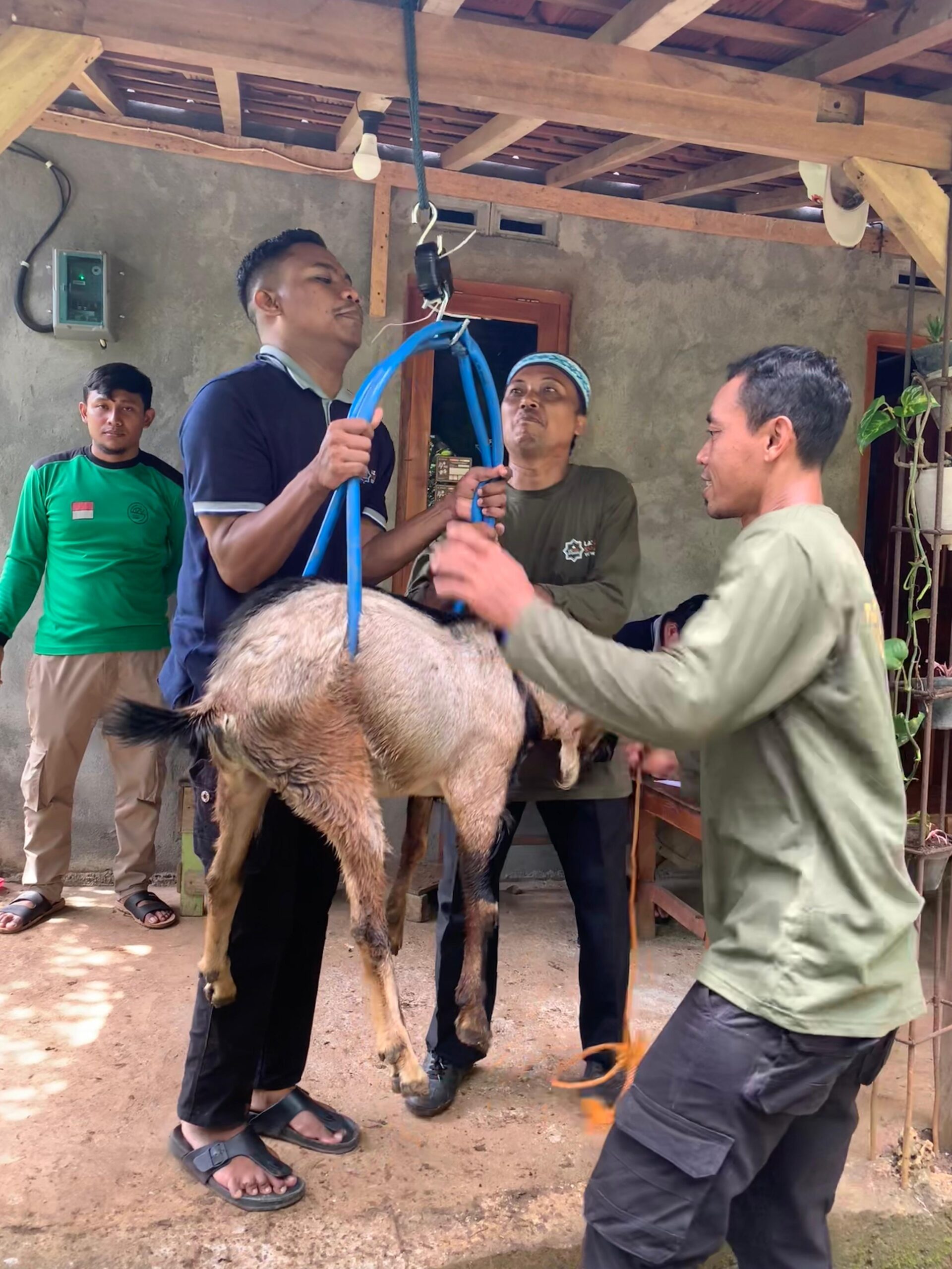 Program Kampung Ternak Mandiri. Program Kampung Ternak Mandiri.