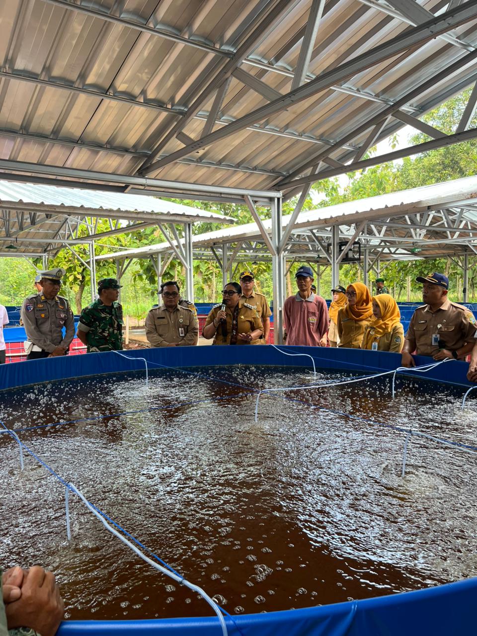 Rawat Ikan Seperti Merawat Anak Rawat Ikan Seperti Merawat Anak