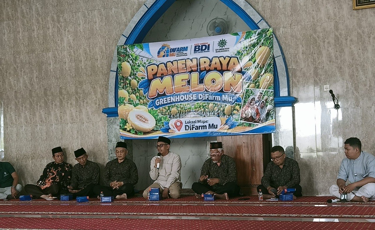 Berdayakan Lahan Wakaf, Kebun Melon DifarMu Sudah Panen Melon Ketiga Kalinya - foto pendukung-3