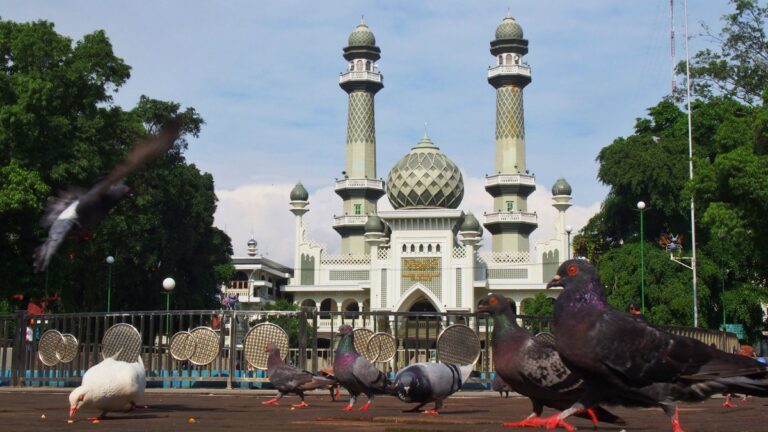 Bermain Dan Belajar Bersosialisasi Di Playground Anak Yang Kian Menjamur Di Wonosari - foto utama