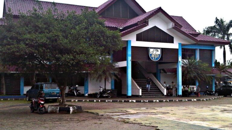 Pidato Perdana Ketua DPD KNPI Gunungkidul Getarkan Bangsal Sewoko Projo - foto utama