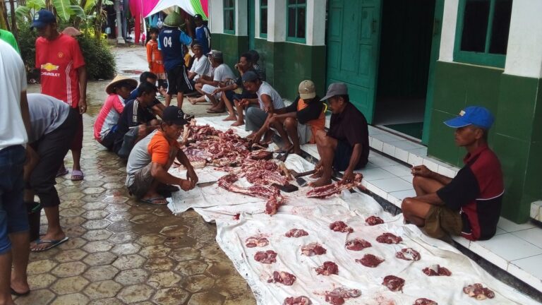 Ribuan Kaleng Daging Kurban Untuk Atasi Stunting di Gununkidul - foto utama